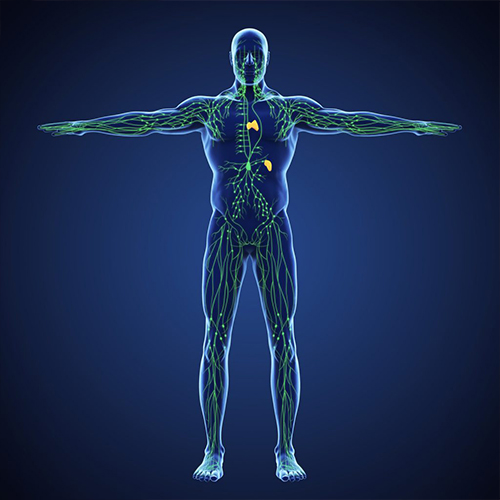 Lymphatic drainage massage technique